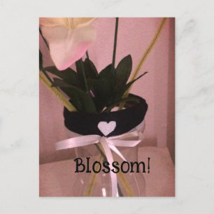 Carte Postale Rose vif!