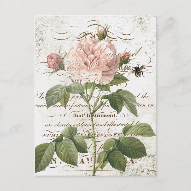 Carte postale rose vintage (Devant)