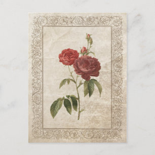 CARTE POSTALE ROSE VINTAGE II