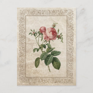 CARTE POSTALE ROSE VINTAGE III
