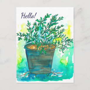 Carte Postale Rosemary Herbe aquarelle Bonjour