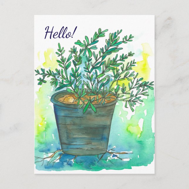 Carte Postale Rosemary Herbe aquarelle Bonjour (Devant)
