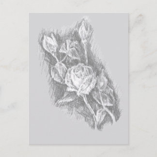 Carte Postale Roses