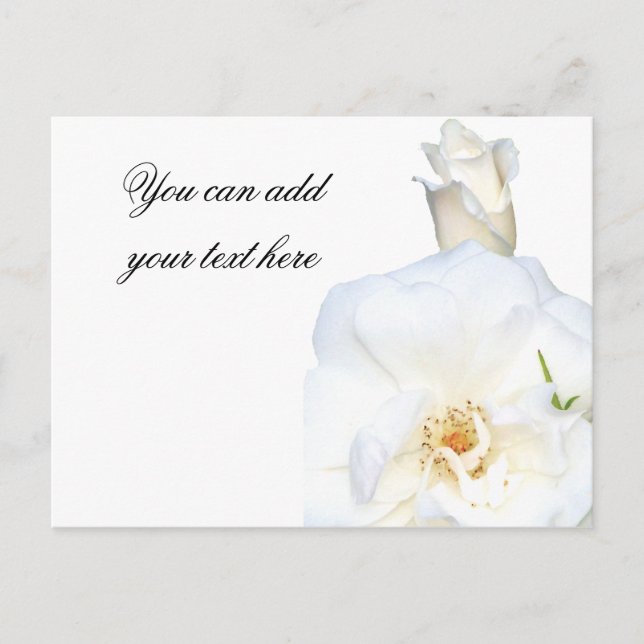 Carte Postale Roses blanches_ (Devant)