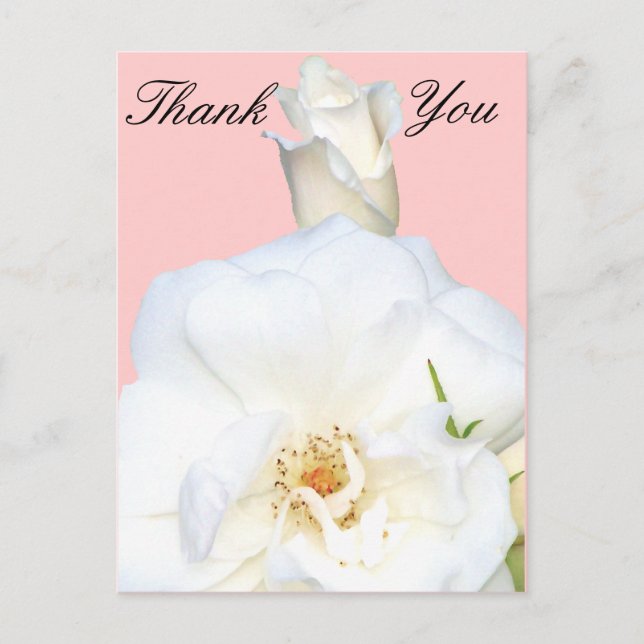 Carte Postale Roses blanches_ (Devant)
