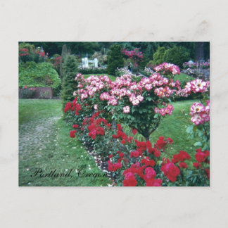 Carte Postale Roses d'arbres, Portland, Oregon