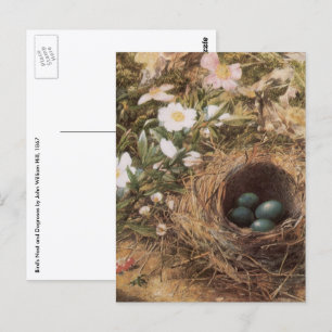 Carte Postale Roses de nids d'oiseaux et de chiens par John Will