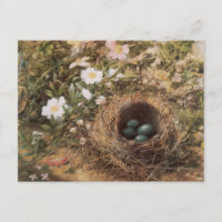 Roses de nids d'oiseaux et de chiens par John Will