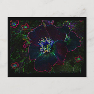 Carte Postale Roses électriques