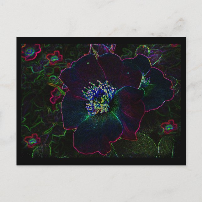 Carte Postale Roses électriques (Devant)