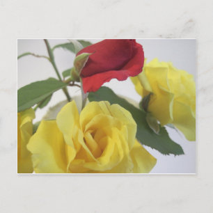 Carte Postale Roses jaunes et rouges