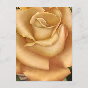 Carte Postale Roses Jaunes Rose Botanique Mariage Enregistrer la