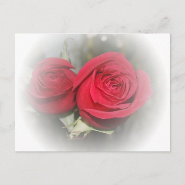 Carte Postale Roses romantiques rouges douces (Devant)