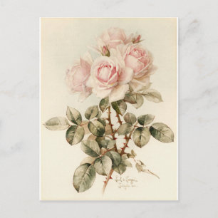 Carte Postale Roses romantiques victoriens vintages