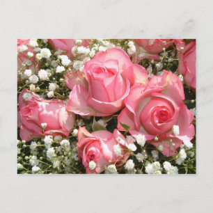Carte Postale Roses rose  