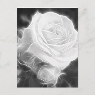 Carte Postale Roses roses dans Anzures 2 Cristal