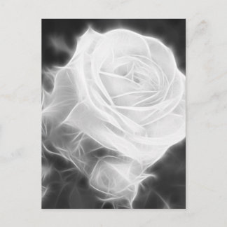 Carte Postale Roses roses dans Anzures 2 Cristal
