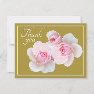 Carte Postale Roses roses oliviers fond Merci