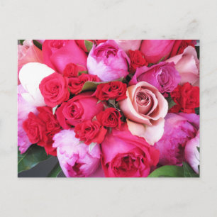 Carte Postale Roses roses Paris