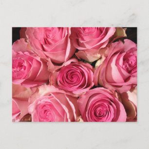 Carte Postale Roses roses roses