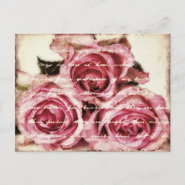 Carte Postale Roses roses vintages (Devant)