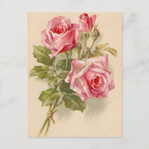 Carte Postale Roses roses vintages