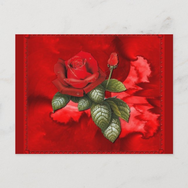 Carte Postale Roses rouges (Devant)
