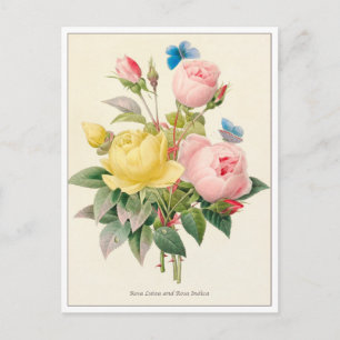 Carte Postale Roses rouges et jaunes par Pierre Joseph Redoute