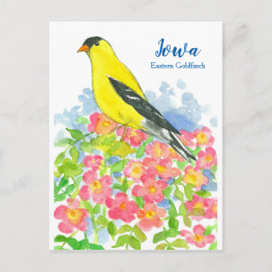 Carte Postale Roses sauvages roses de l'Iowa Eastern Goldfinch