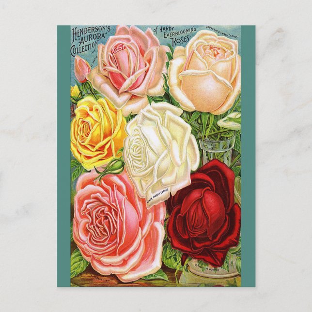 Carte Postale Roses vintages (Devant)
