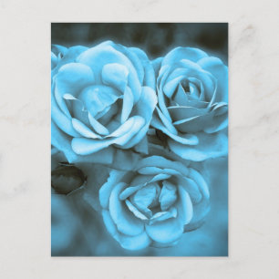 Carte Postale Roses Vintages bleus