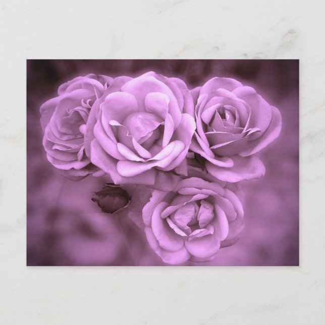 Carte Postale Roses Vintages violets (Devant)