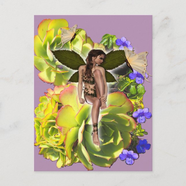 Carte Postale Rosette Succulent visiteurs (Devant)