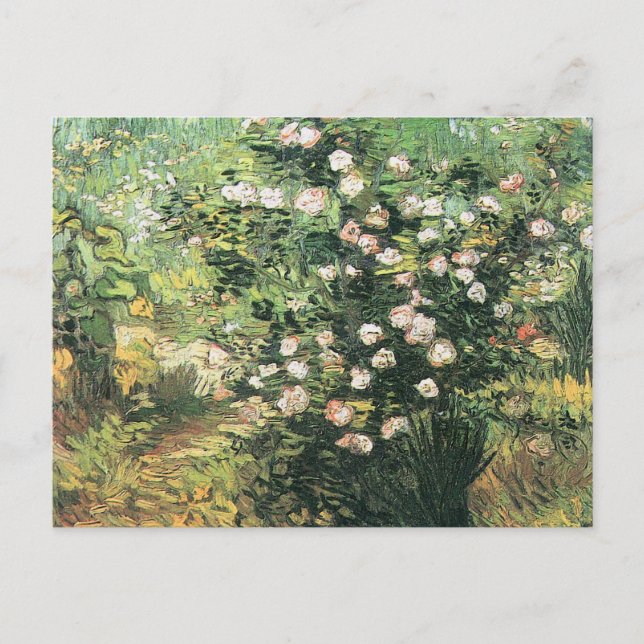Carte Postale Rosier en Fleurs par Vincent van Gogh (Devant)