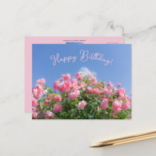 Carte Postale Rosier rose sous ciel bleu, personnalisable 