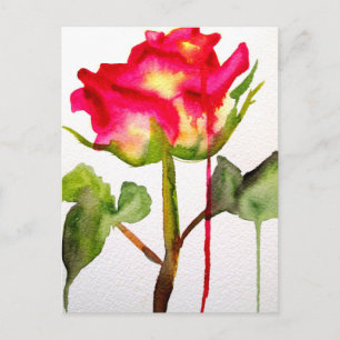Carte Postale Rosier thé hybride aquarelle art floral moderne