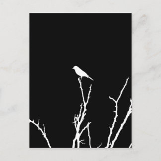 Carte Postale Rossignol de Nuit