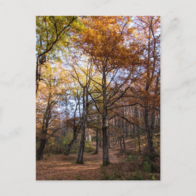 Carte Postale Rotino, Macédoine (Devant)