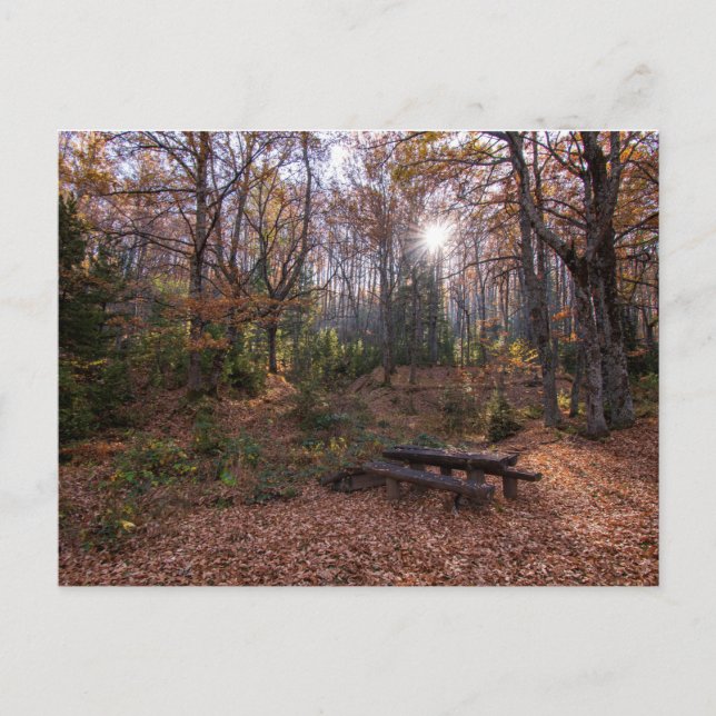 Carte Postale Rotino, Macédoine (Devant)