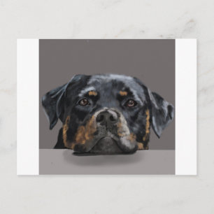 Carte Postale Rottweiler