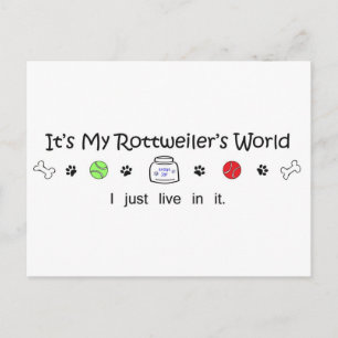 Carte Postale Rottweiler