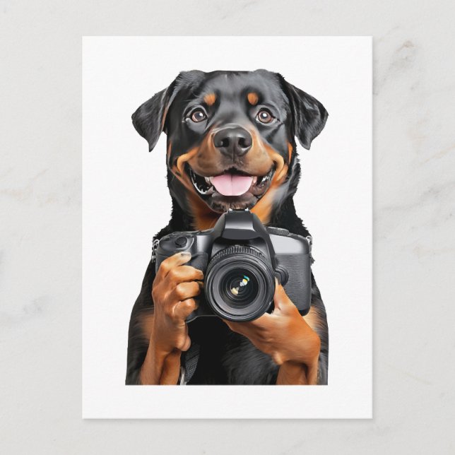 Carte Postale Rottweiler   (Devant)