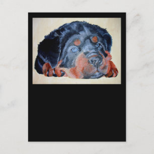 Carte Postale Rottweiler Chiot Artistique Portrait pour Animaux
