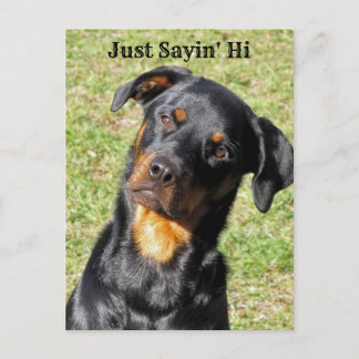Carte postale Rottweiler Just Sayin' Hi