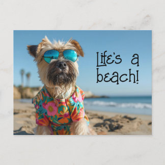 Carte Postale Roue Terrier Chiot portant des lunettes de soleil