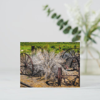 Carte Postale Roues de Ranch Historique Brillantes