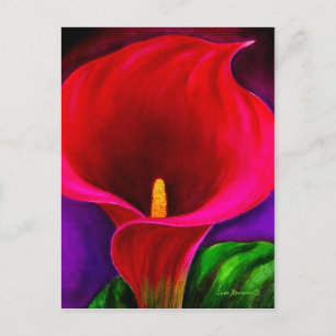 Carte Postale Rouge Cala Lily peinture à la floraison Art - Mult