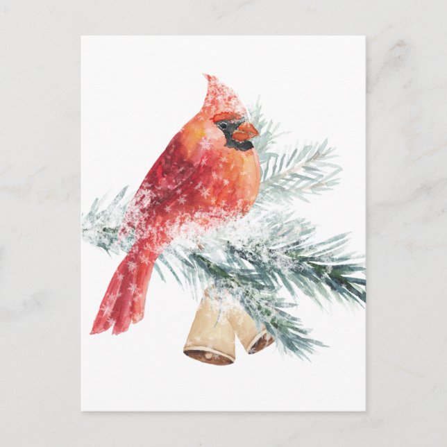 Carte Postale Rouge Cardinal Snowy Blue Spruce Branch Winter Sce (Devant)