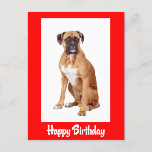 Carte postale rouge Chien Chien Chien Chien Chien 