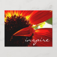 Rouge Gerbera Fleur marguerite Inspiration Script 